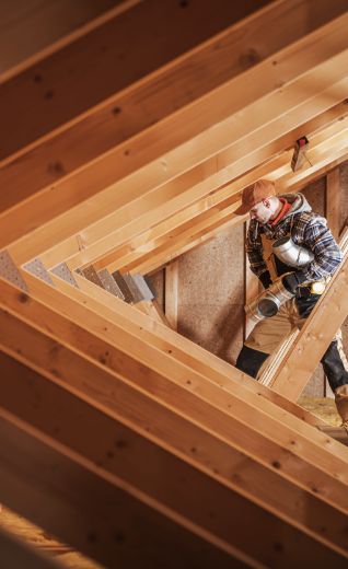 Notre ADN acompagnons-vostoits