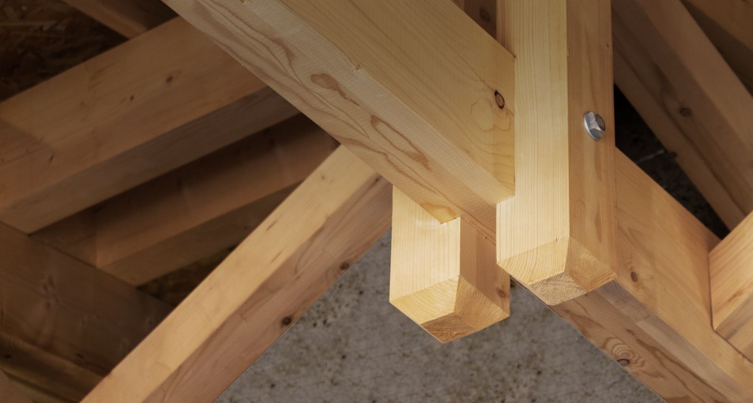 Charpente acompagnons-vostoits